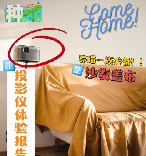 志高投影仪连接switch的步骤是什么？