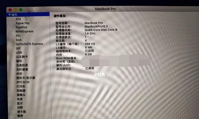 如何查看苹果电脑的内存条类型？