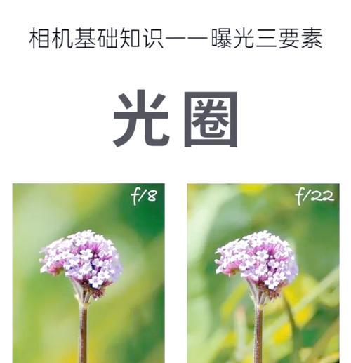 手机拍照模糊不清时应如何调整设置？