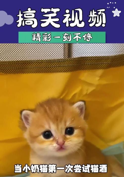 酒猫笔记本电脑如何更换头像？