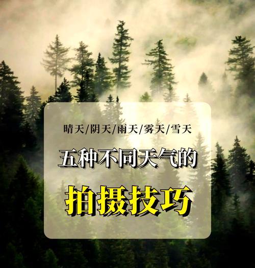 公园雪景用手机怎么拍？拍照技巧有哪些？