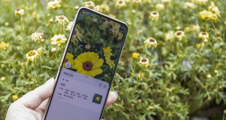 折叠手机拍照杆的正确拆卸方法是什么？使用时应注意什么？