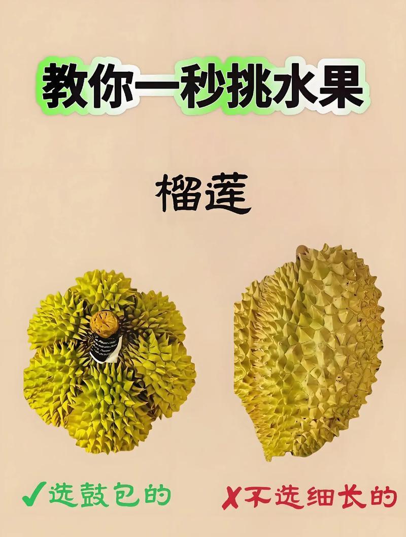 如何用手机拍出鲜亮的水果照片？有哪些拍摄技巧？