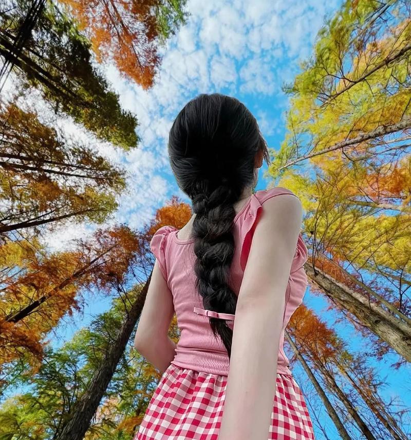广角拍照时手机的正确摆放方法是什么？