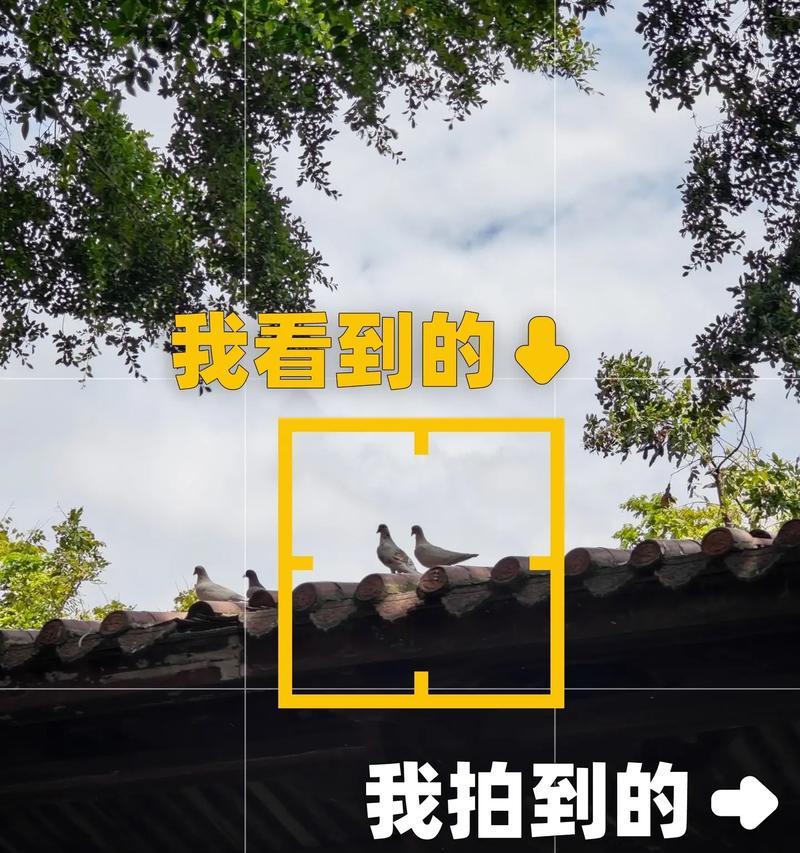 苹果手机拍照后如何编辑得更好看？有哪些技巧？