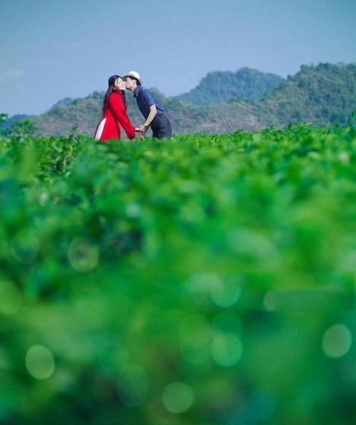 妈妈送的摄影机如何连接手机？拍照效果怎么样？