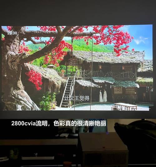 哪种颜色的墙纸更适合投影仪使用？