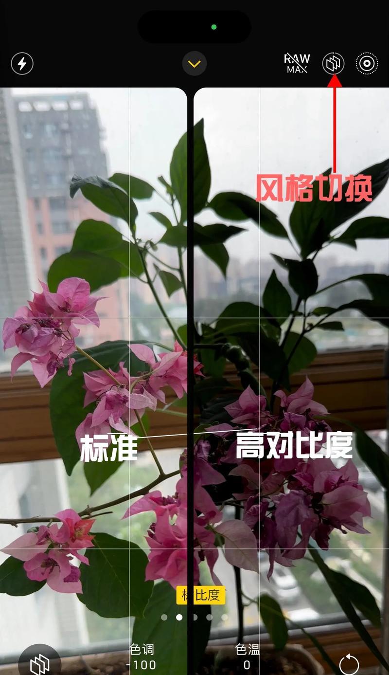 拍照手机同屏设置方法是什么？设置后如何提升美观度？