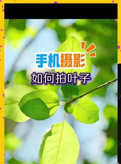安卓手机如何使用超广角拍照？超广角拍照有何优势？