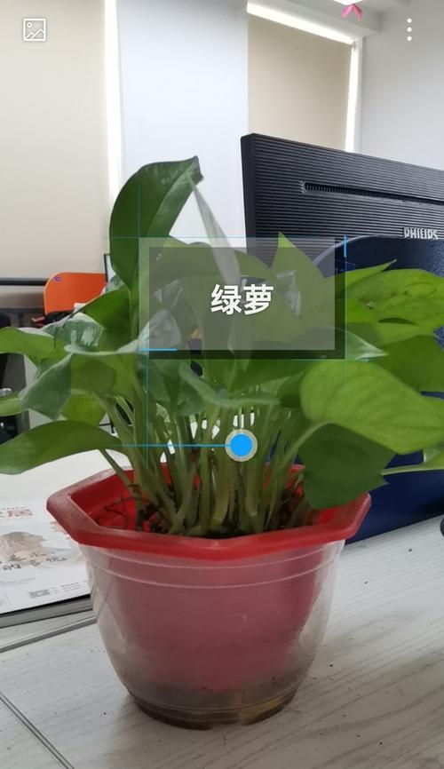 华为手机拍照颜色偏淡绿色怎么调整？设置拍照颜色的技巧是什么？