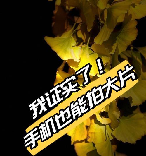 手机拍照模糊如何调整清晰度？有哪些方法？
