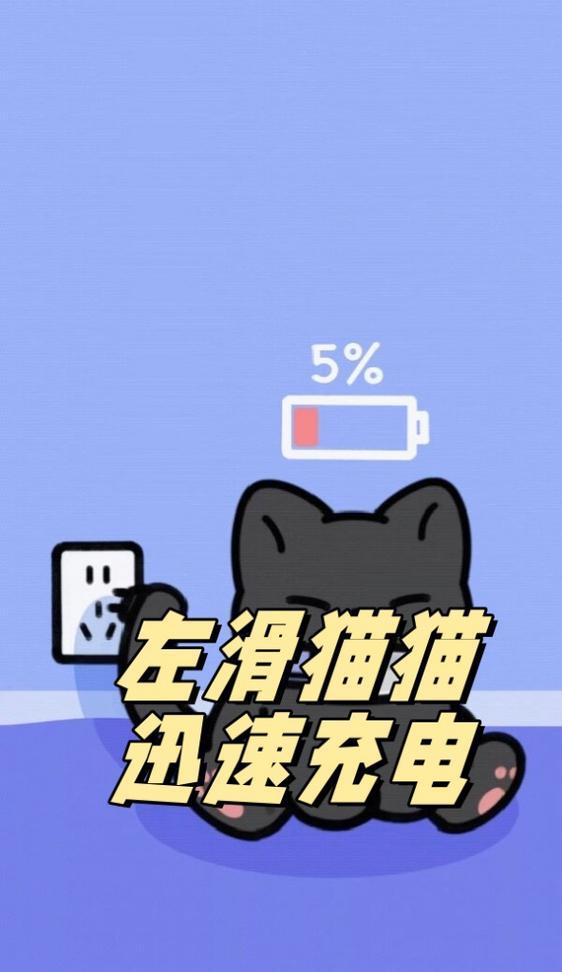 小猫专属充电器有何特点？如何为小猫选择合适的充电器？
