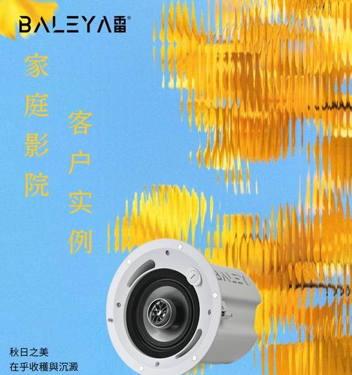 吊杆吸顶音箱选购时应注意哪些问题？