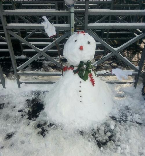 雪天使用苹果手机拍照技巧是什么？如何拍出清晰的雪景照片？