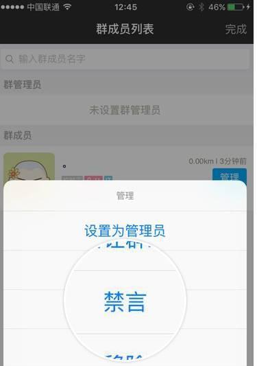 苹果手机群聊禁言后如何交流？有哪些替代沟通方式？