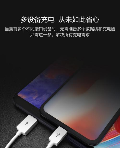 多头可以用的充电器叫什么？选择标准是什么？