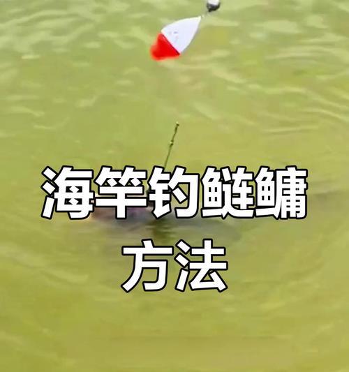 苹果手机抛竿功能如何激活？