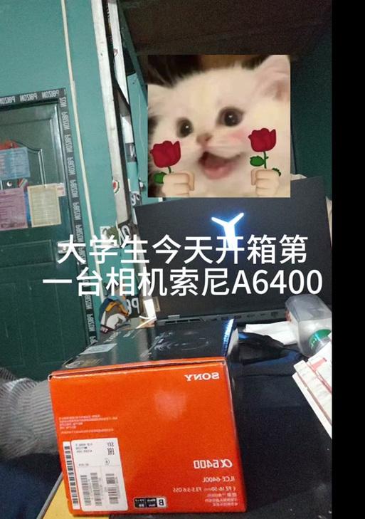 索尼充电器充满电指示是多少？