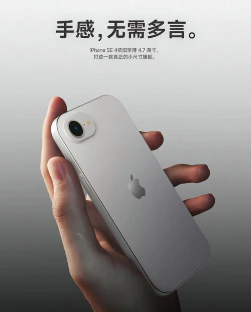 手机后置摄像头主摄设置方法是什么？
