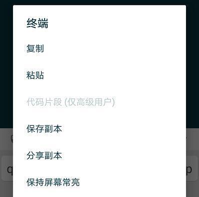 路线搜索服务器在手机上的使用方法是什么？