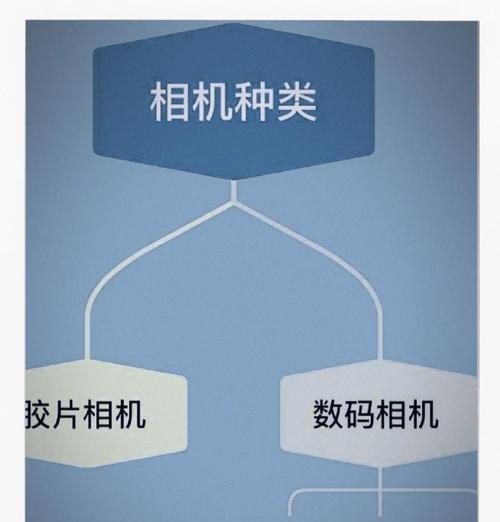 选择数码相机时应注意哪些要点？学生购买相机的预算范围是多少？