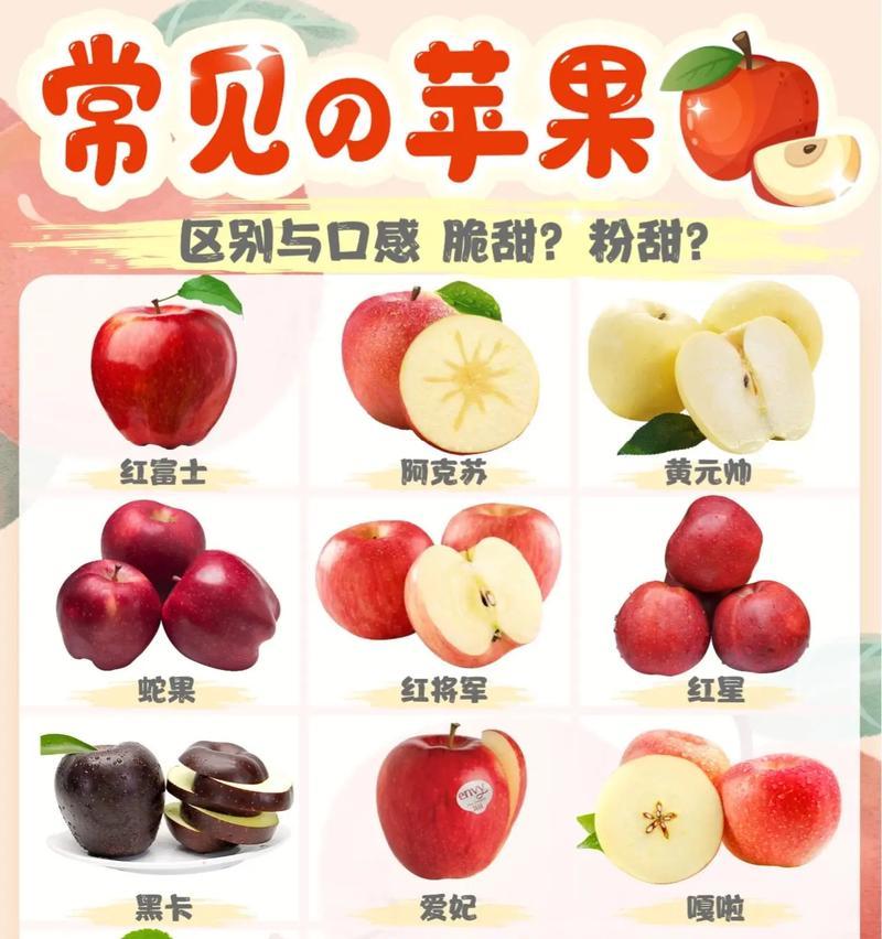 苹果S13代手机有何新特性？与前代相比有何改进？