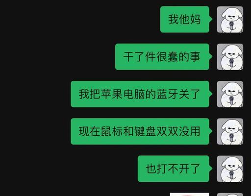 苹果蓝牙自动刷屏器使用技巧？如何正确操作以提高效率？