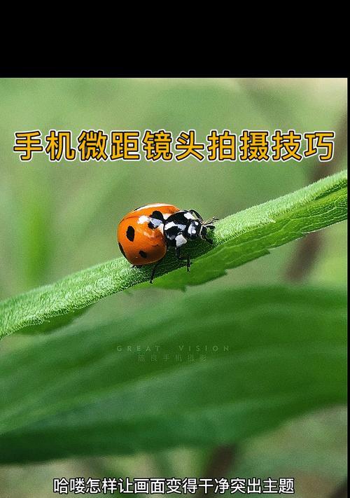 华为手机镜头模式调整方法？如何实现微距拍摄？